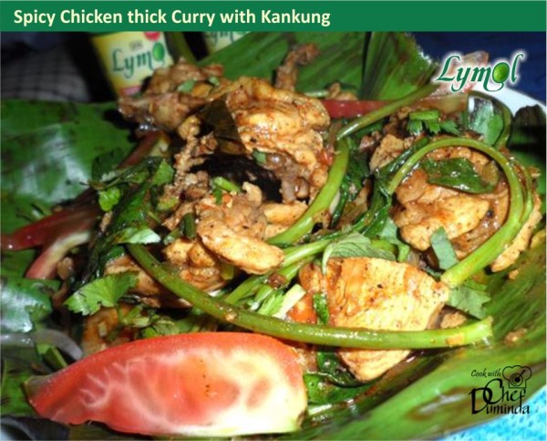 Spicy Chicken thick Curry with Kankung